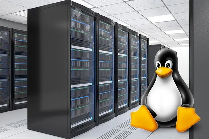 Linux Cpanel Web Hosting